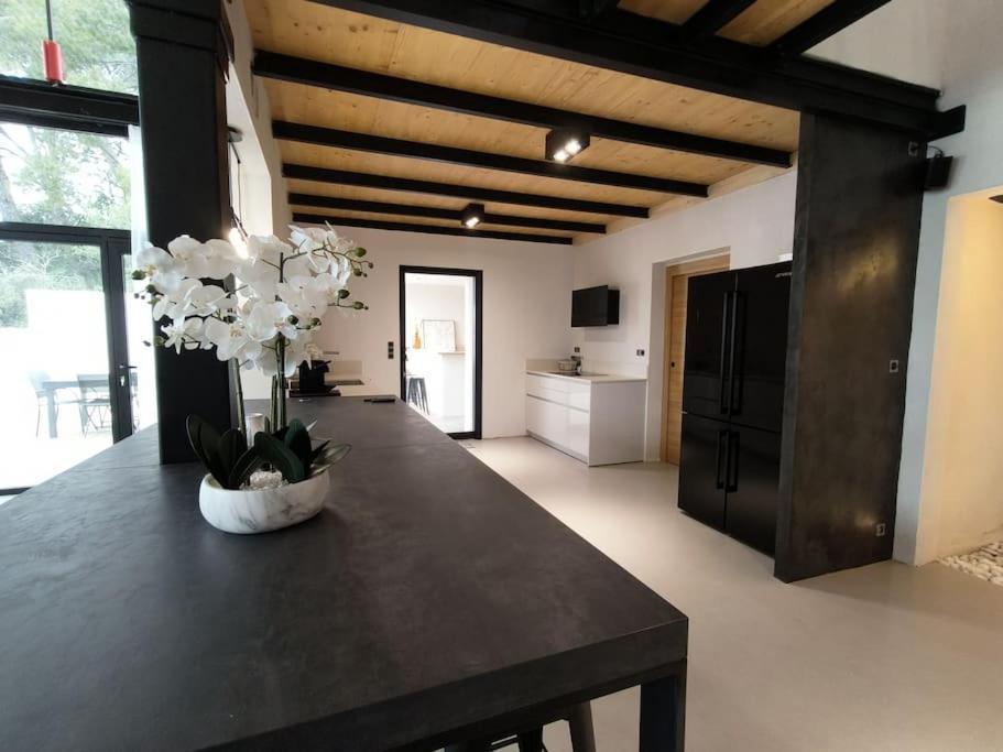 Industrial Luxury Nimes & Arles Villa Beaucaire  Eksteriør billede